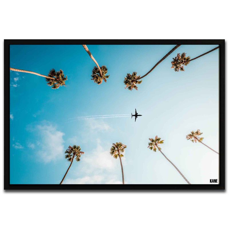 تابلو مدل Palm flight کد 248901202 | دنیای قاب