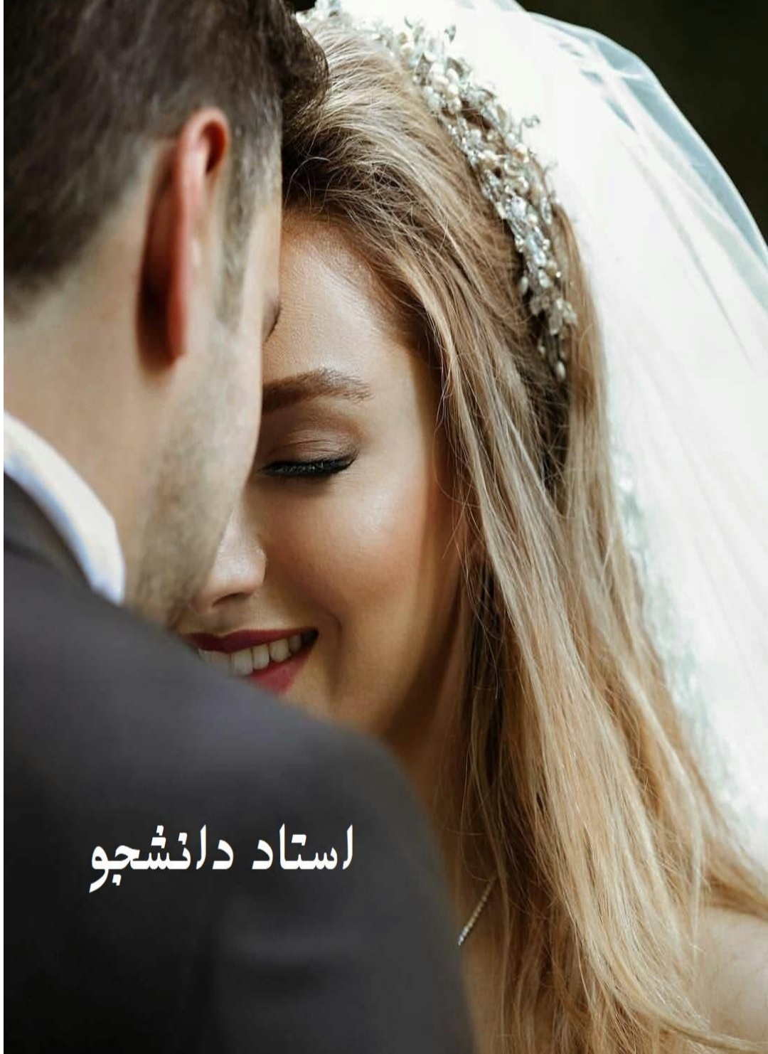 PDF رمان استاد دانشجو جلد چهارم  رمان استاد مغرور من نویسنده ترنم  ژانر استاد و دانشجویی و عاشقانه