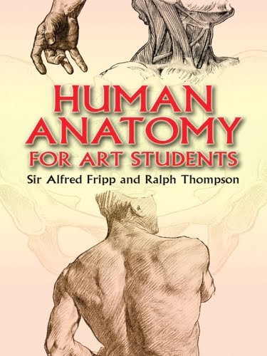  دانلود کتاب Human Anatomy For Art Students, 2012 - دانلود کتاب های دانشگاهی