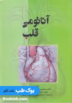 آناتومی قلب