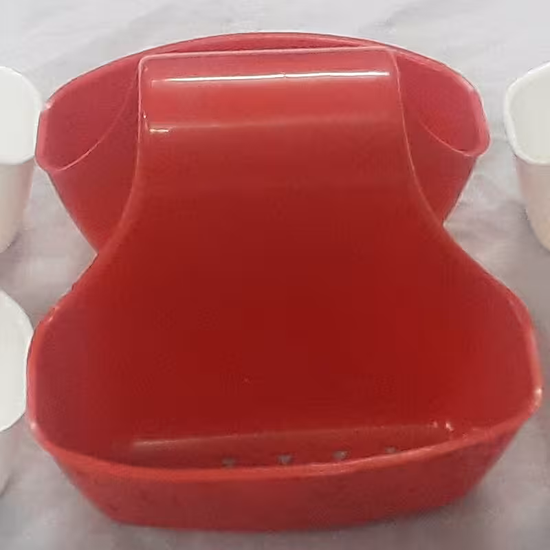 جا اسکاجی بین سینکی
