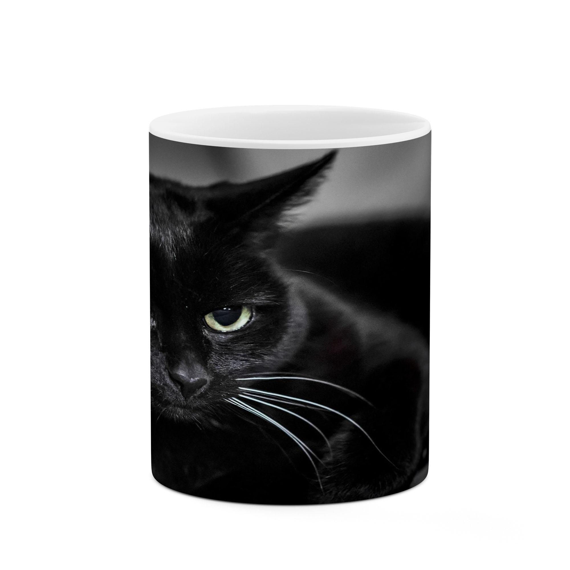 ماگ کاکتی طرح گربه مدل mgs17392