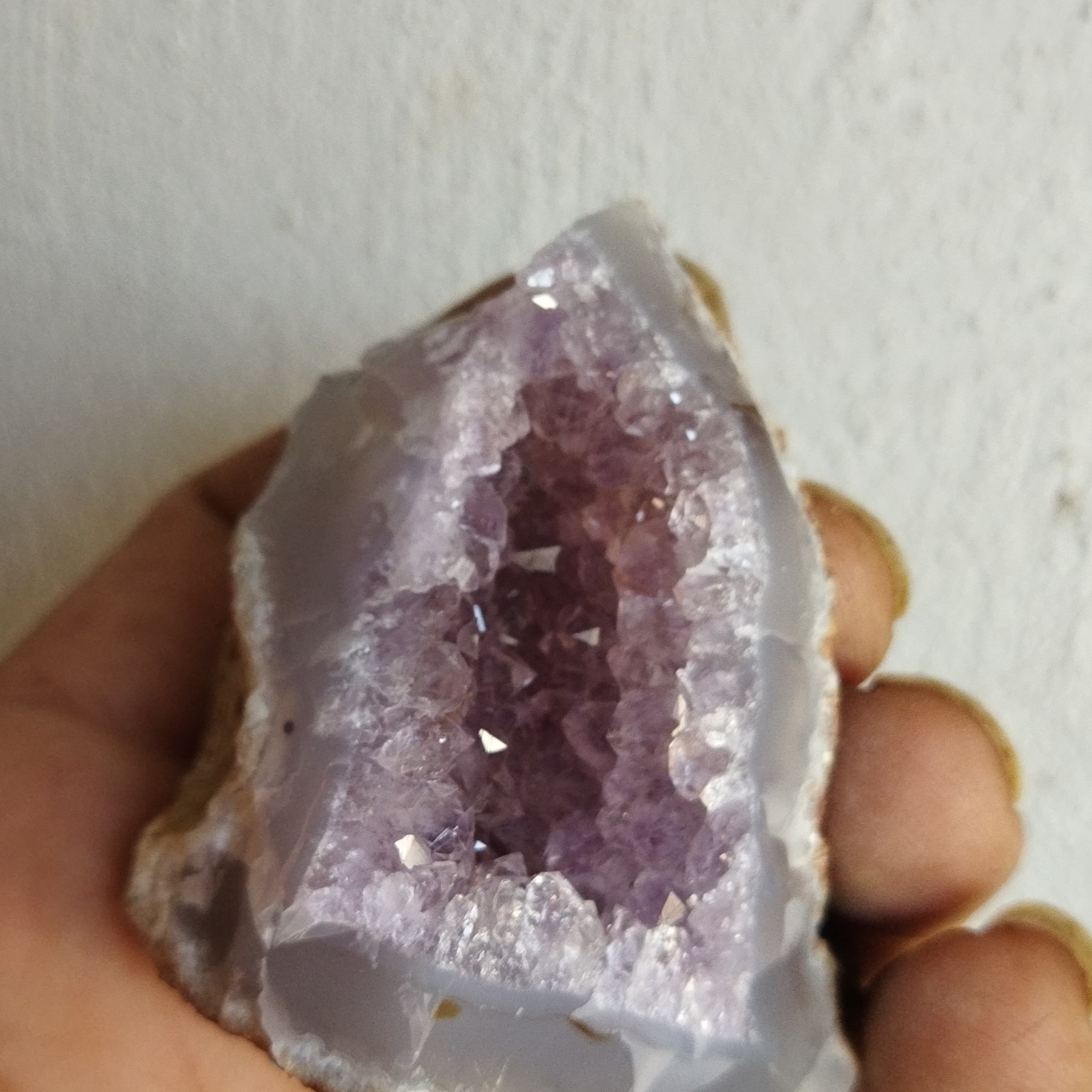 امیتیست ژئوددو