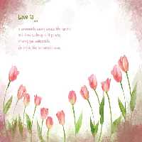 خرید و دانلود عکس ShutterStock-2014-Backgrounds &amp; Textures کد 53216 | پیک فاکس | Pic Fox