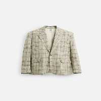 بلیزر مردانه زارا LIMITED EDITION CHECK SUIT BLAZER | تهران زارا TehranZara