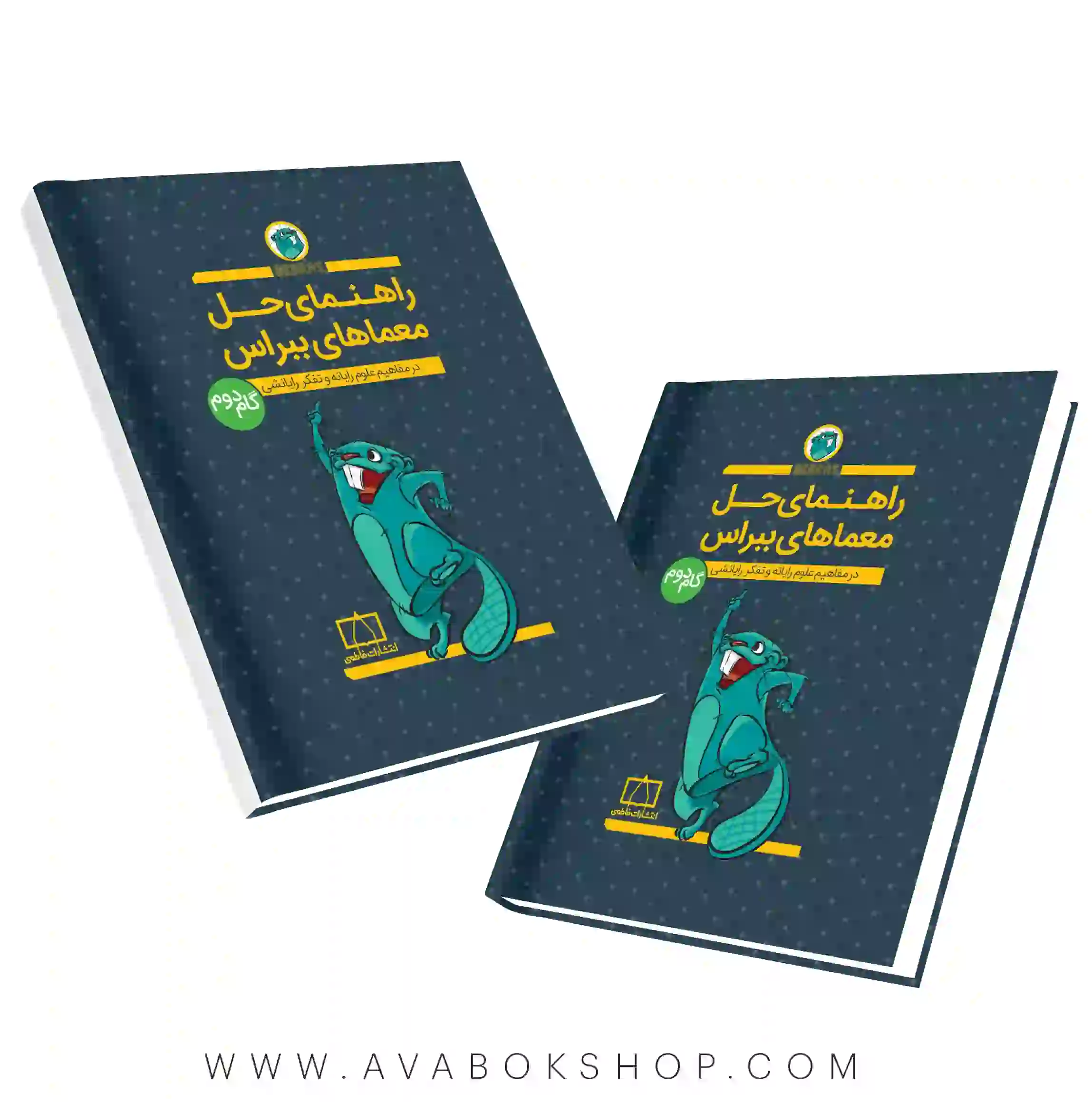 کتاب راهنمای حل معماهای ببراس گام دوم فاطمی