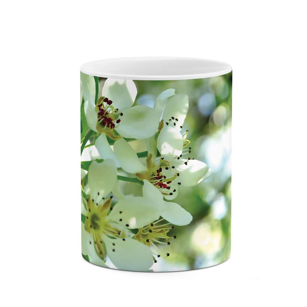 ماگ طرح شکوفه گل مدل mgs07633