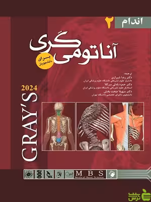 آناتومی گری برای دانشجویان جلد2 اندام 2024 اندیشه رفیع - خرید با تخفیف ویژه