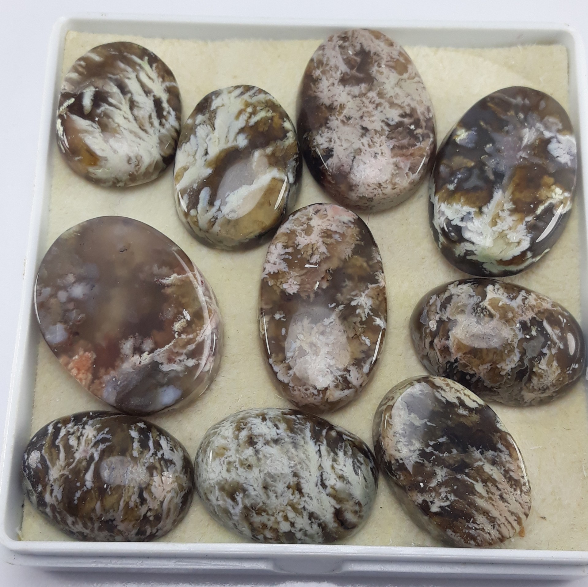 ده عدد نگین عقیق شجر بلدرچینی معدنی 