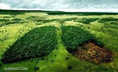 فایل بررسي اثر مواد بیولوژیک بر محیط زیست