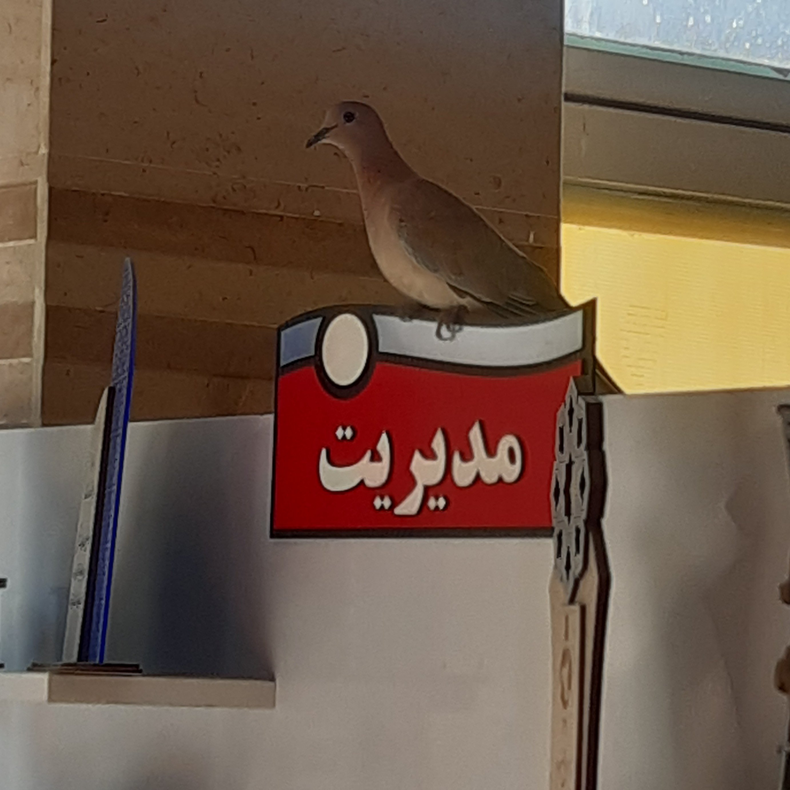 تابلو سر در طرح یاکریم