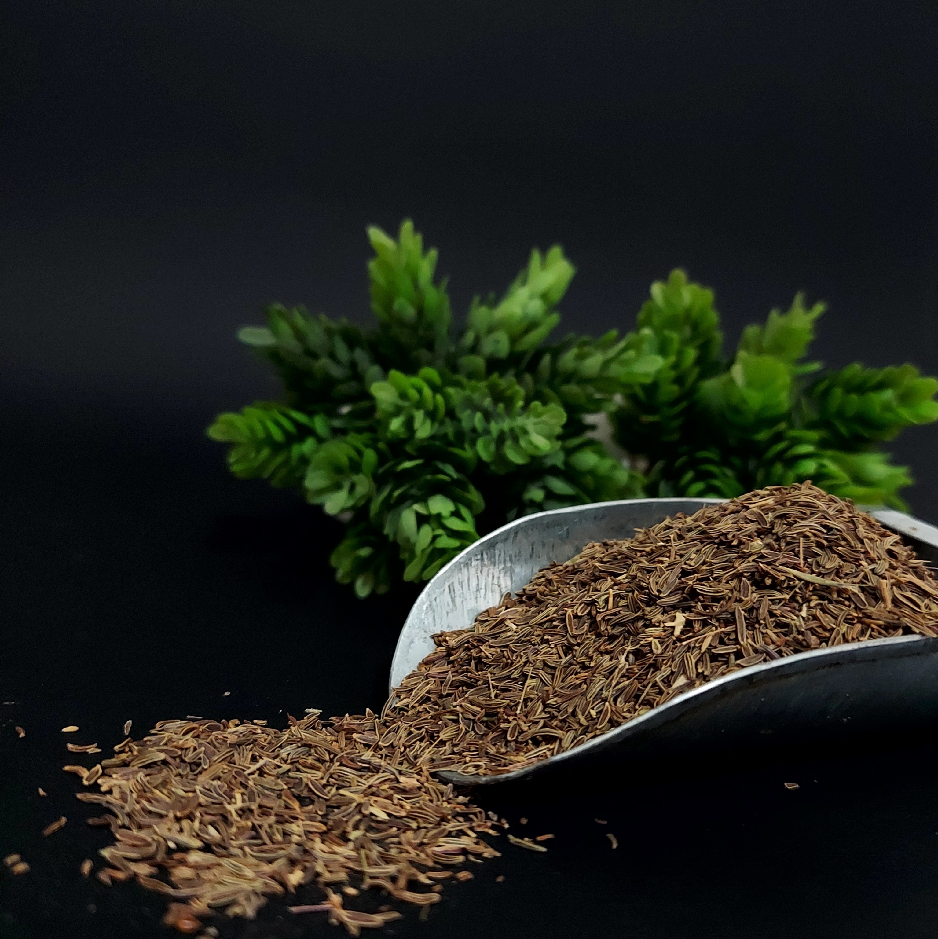 زیره سبز درشت اعلاء(100 گرمی)عطاری چیلی