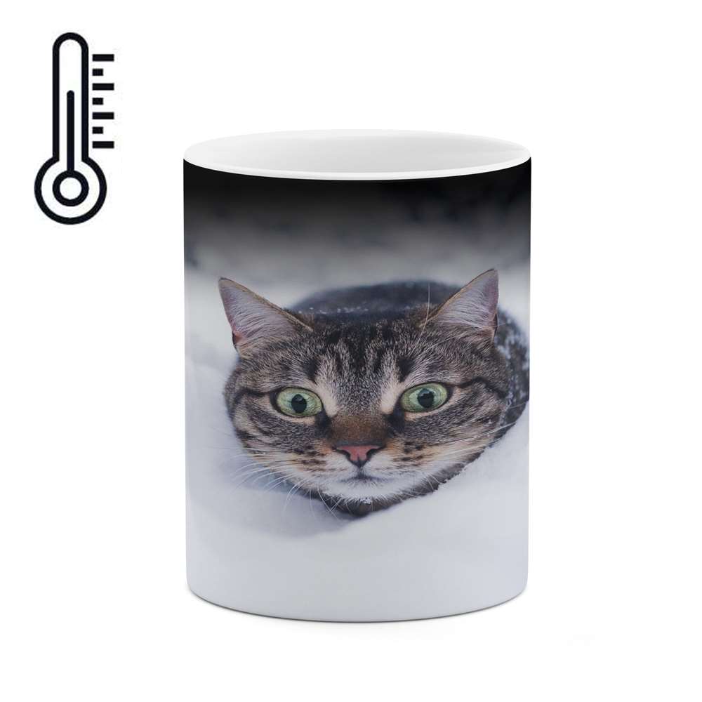 ماگ حرارتی کاکتی طرح گربه مدل mgh16303