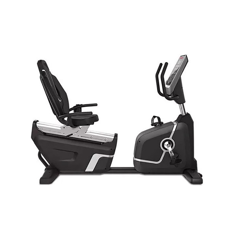 دوچرخه ثابت باشگاهی پشتی دار اکوفیت مدل 9500