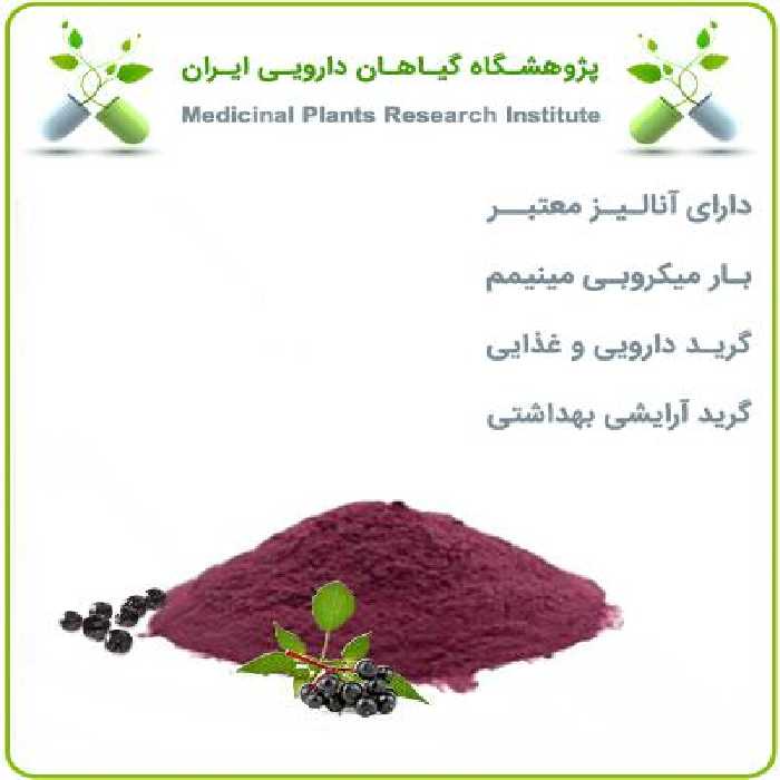 عصاره آقطی سیاه (الدربری) خشک یا پودری