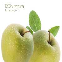 خرید و دانلود عکس Green apple کد 24650 | پیک فاکس | Pic Fox