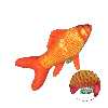 اسباب بازی گربه سویل پت مدل Goldfish Catnip