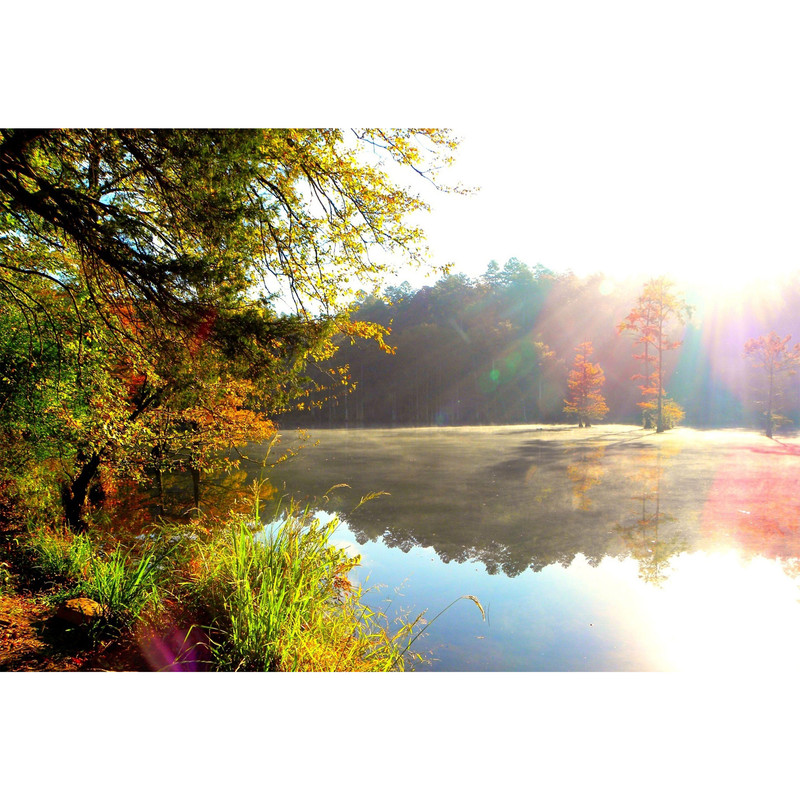 تابلو شاسی مدل دریا و جنگل و افتاب T7159 | دنیای قاب