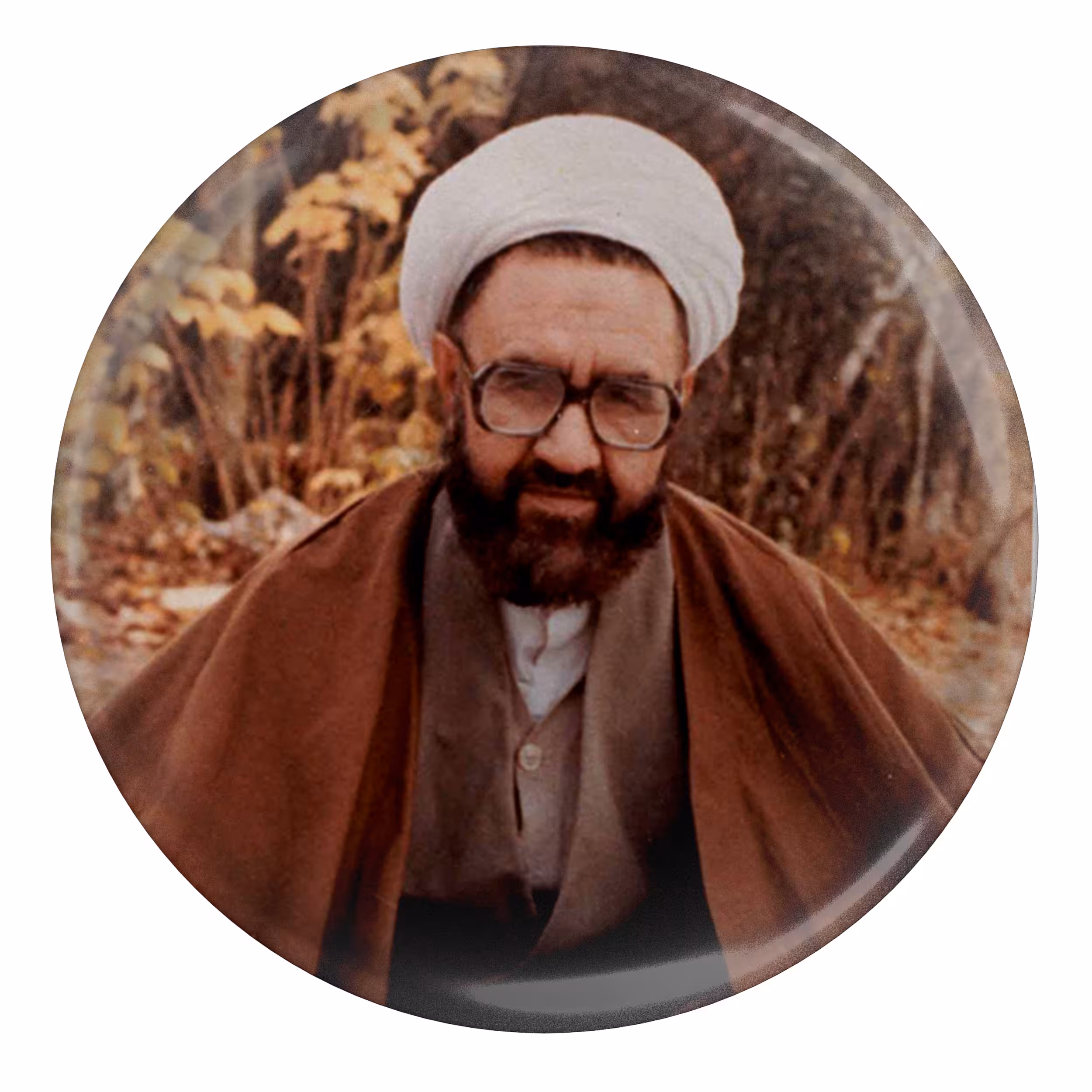 پیکسل طرح شهید مرتضی مطهری مدل S2143