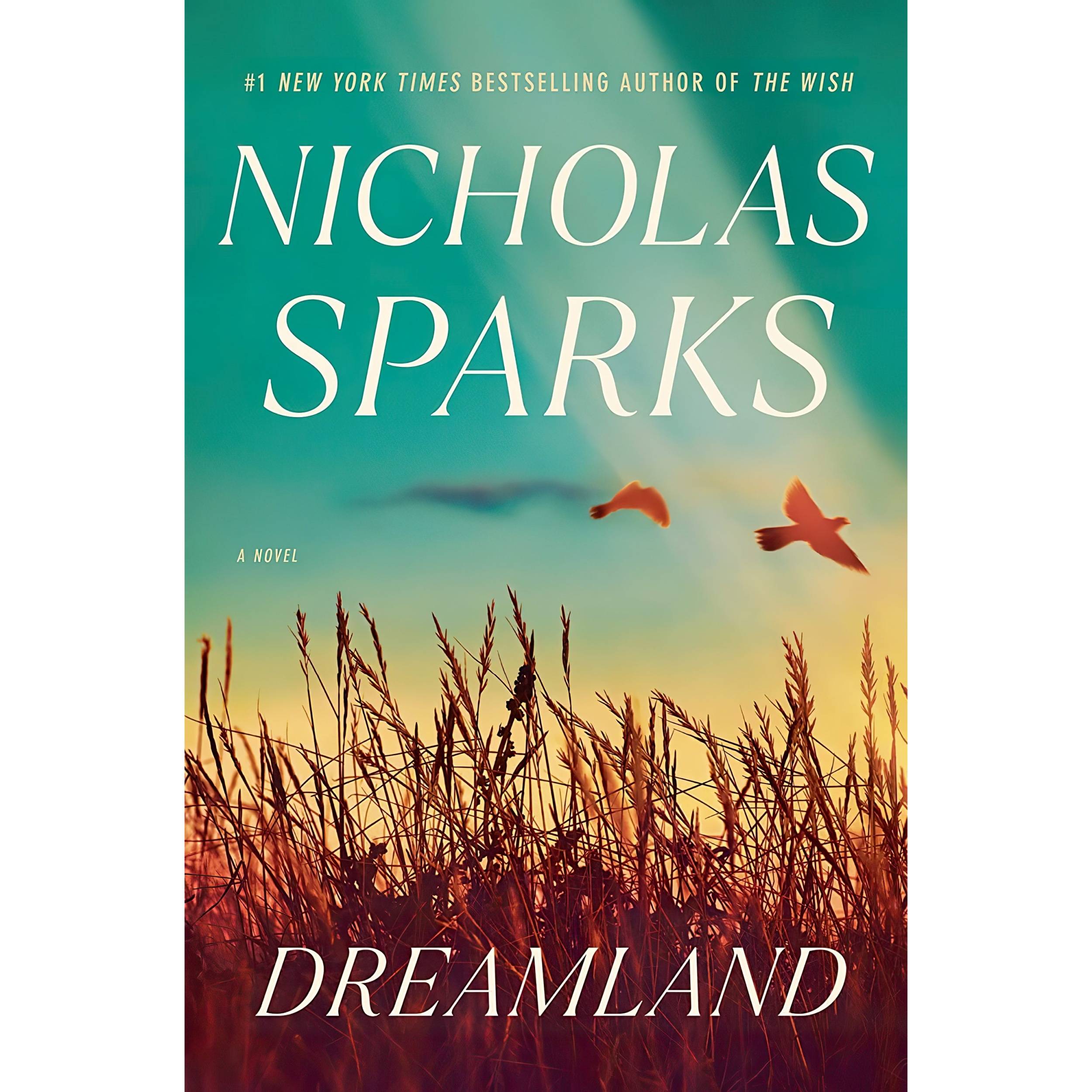 کتاب Dreamland اثر Nicholas Sparks انتشارات Random House