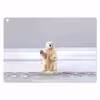 برچسب پوششی ماهوت مدل Polar bear مناسب برای تبلت ایسوس Transformer 3 Pro 2016