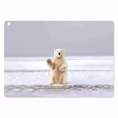 برچسب پوششی ماهوت مدل Polar bear مناسب برای تبلت ایسوس Transformer 3 Pro 2016