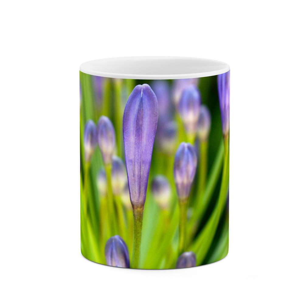 ماگ طرح گل مدل mgs12134