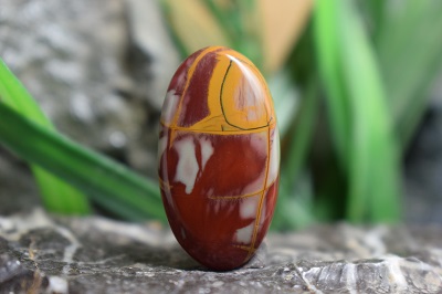 نورینا جاسپر