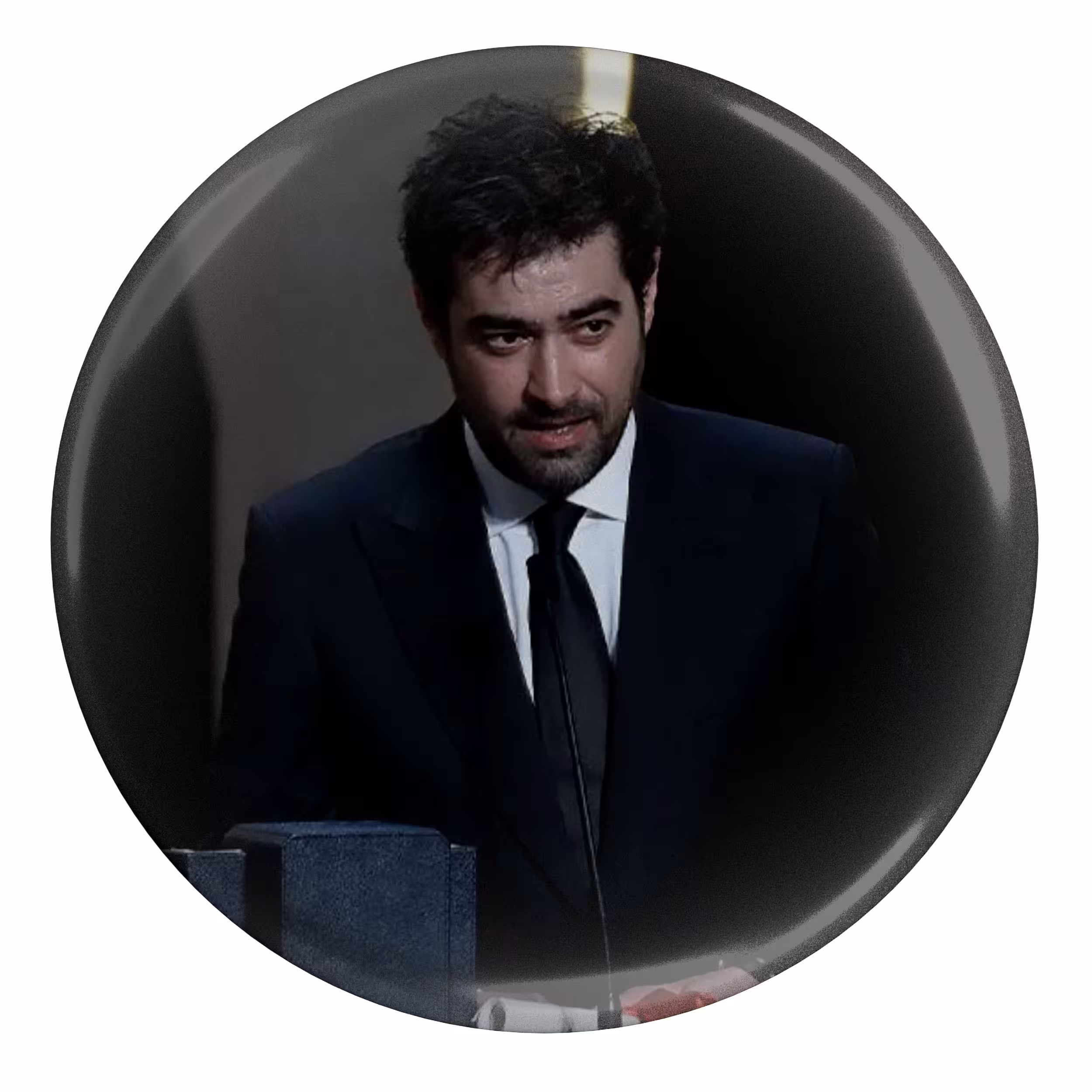 پیکسل طرح شهاب حسینی مدل S8613