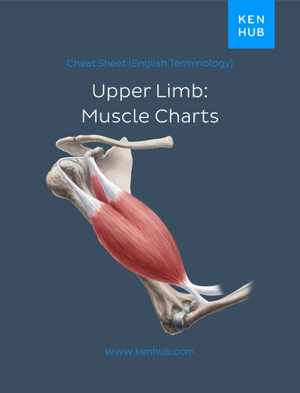 [PDF] دانلود کتاب Upper Limb Anatomy, 2020