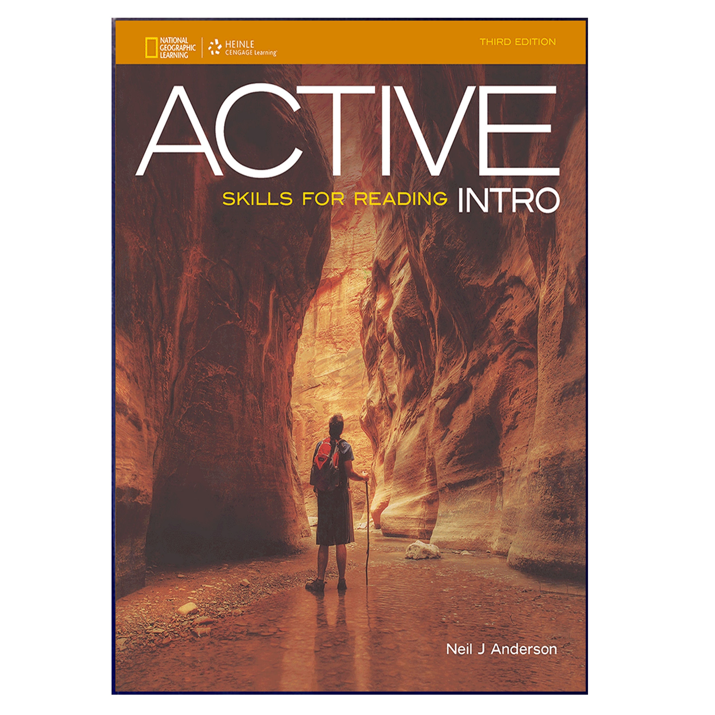  کتاب زبان Active Skills For Reading 3rd Intro اثر Neil J Aderson انتشارات هدف نوین