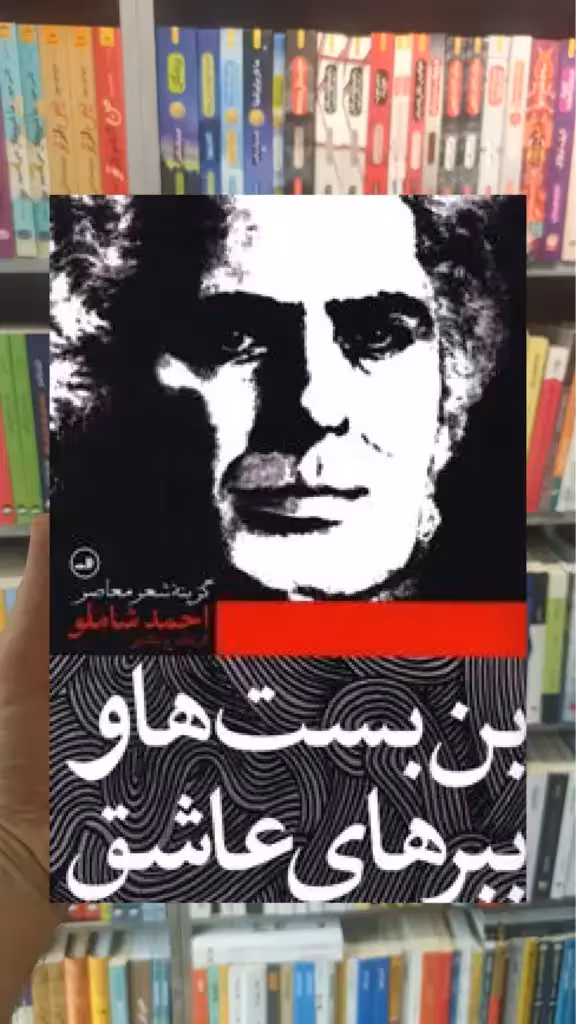 بن بست ها و ببرهای عاشق ثالث - بانک کتاب ماندگار-قیمت-خرید-کتاب-کمک-درسی-کنکور-دانشگاهی