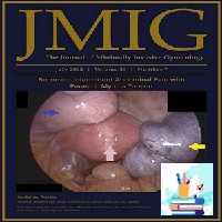 The Journal of Minimally Invasive Gynecology 2023 Full Archives at 35€