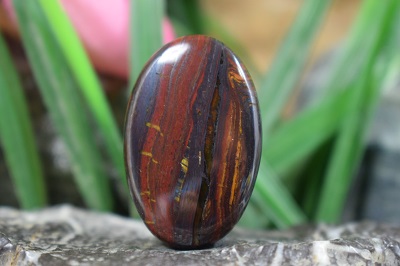 چشم ببر اهنی