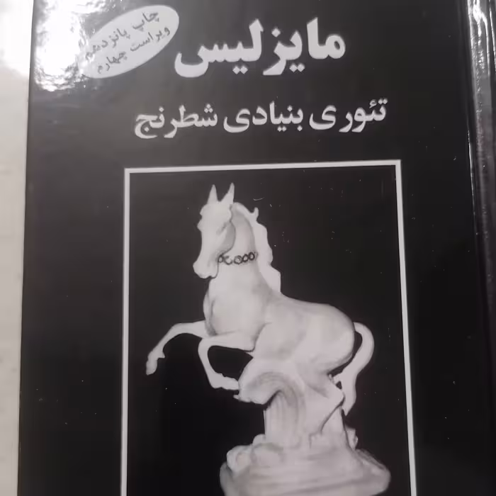 کتاب مایزلیس