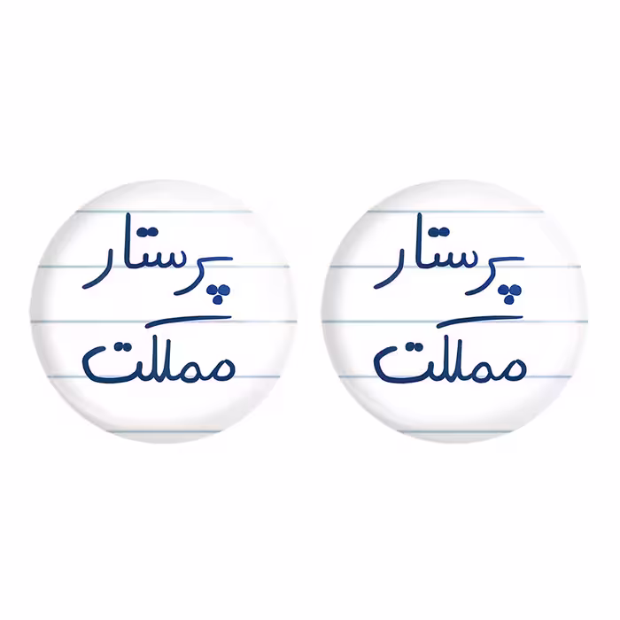 پیکسل خندالو مدل پرستار مملکت کد 5866 مجموعه 2 عددی