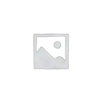 رینگ موتور NPM سایز استاندارد لیفان X50