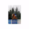 برچسب پوششی ماهوت مدل Equestrianism مناسب برای تبلت اپل iPad mini 2 2013 A1490