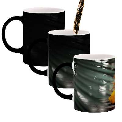 ماگ حرارتی کاکتی طرح دختر مدل mgh17325