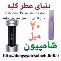 عطر شامپیون 20 میل