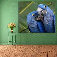 تابلو شاسی مدل طوطی کد 9