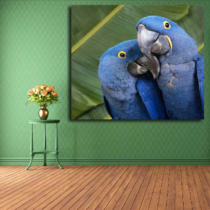 تابلو شاسی مدل طوطی کد 9