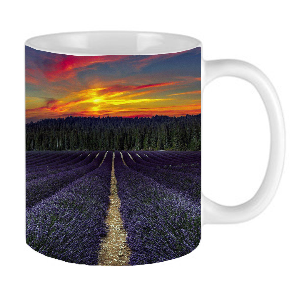 ماگ مدل 31 طرح منظره بکر