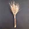 خوشه گندم خشک تزیینی مدل Gn101