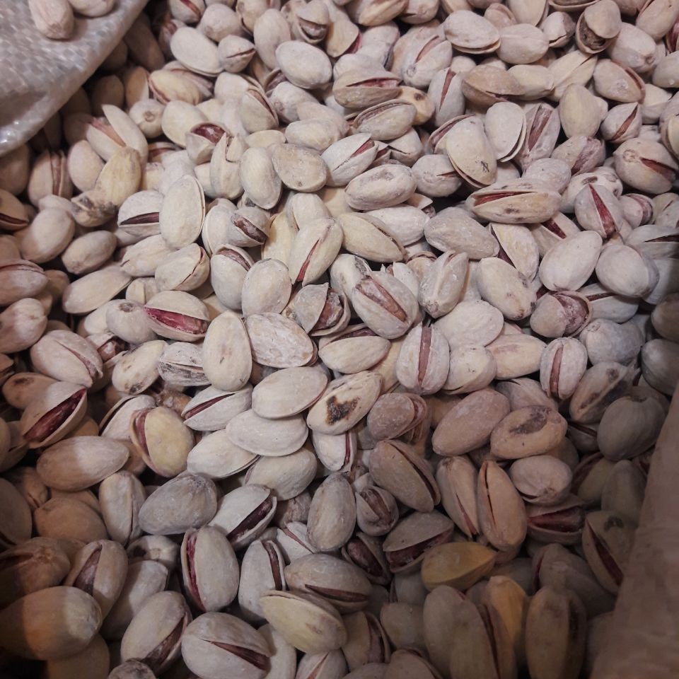 پسته پر مغز شیرین