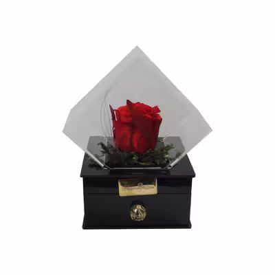 گل رز جاودان مدل کلبه