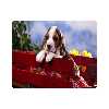 ماوس پد طرح سگ مدل T8059
