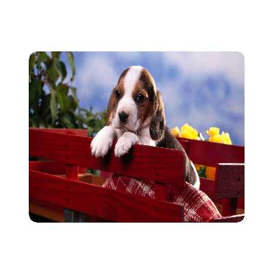 ماوس پد طرح سگ مدل T8059