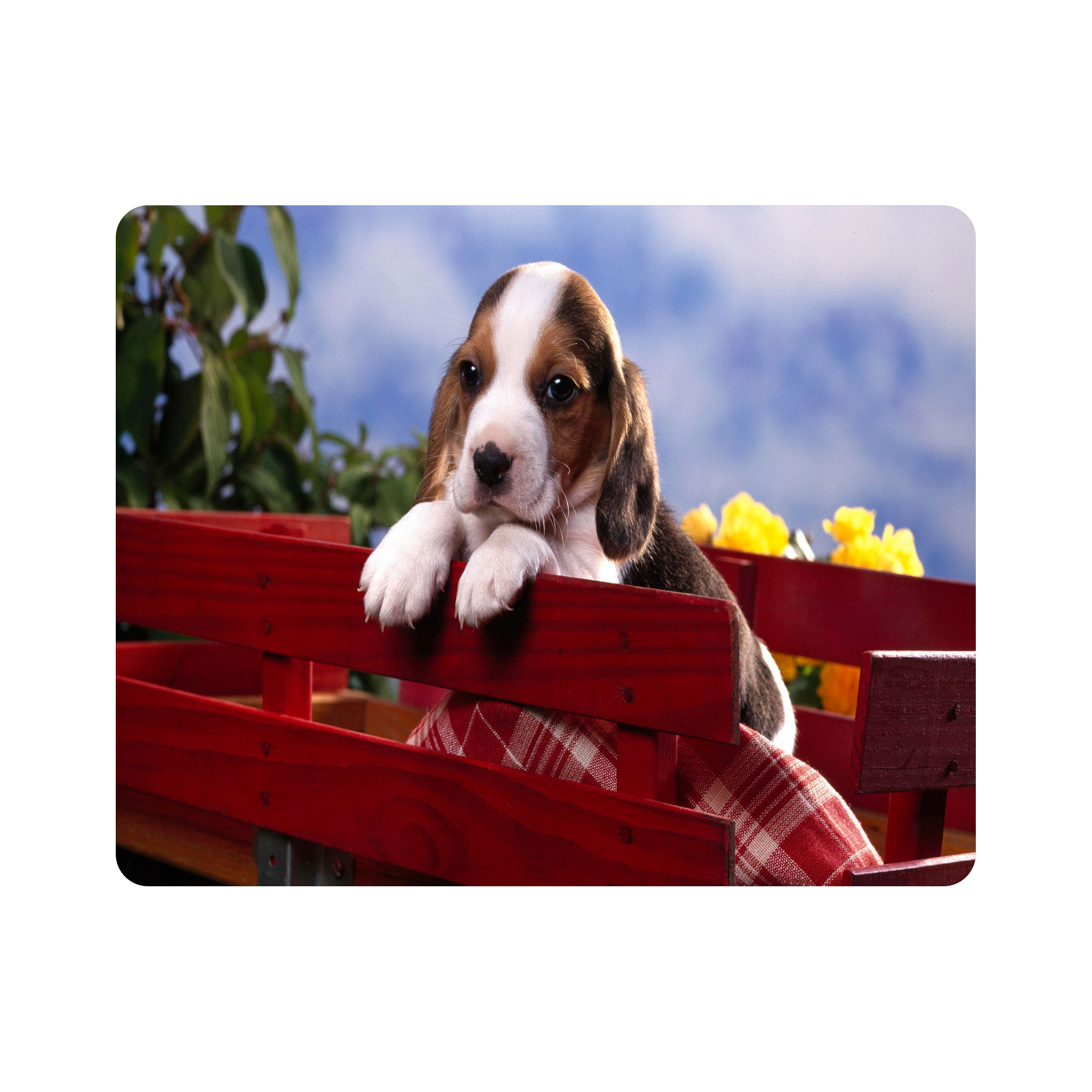 ماوس پد طرح سگ مدل T8059