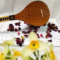 سه تار سیمرغ 